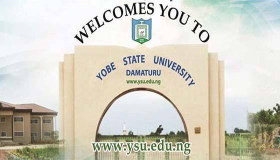 Yobe State University Latest News