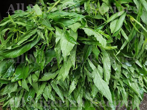 16 Amazing Health Benefits of African Spinach (Efo Soko) You Never Knew