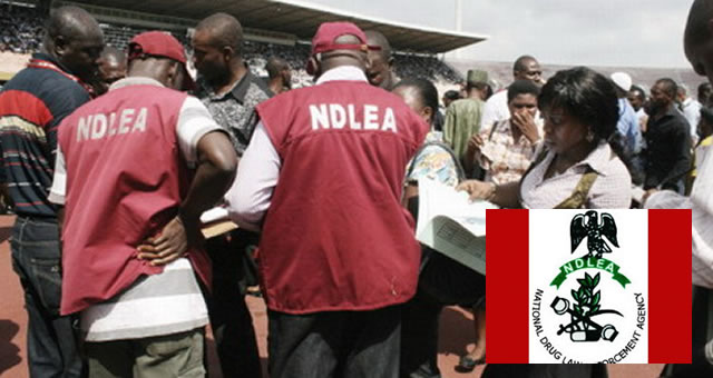 Functions of NDLEA and NAFDAC