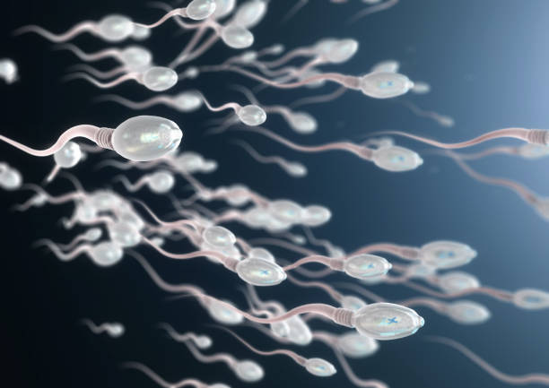Sperm Photo
