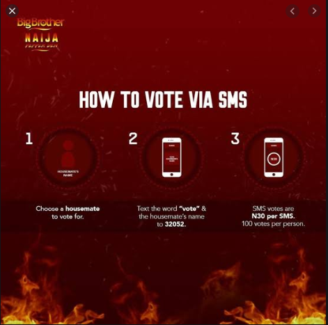 BBNaija How To Vote For Favorite Big Brother Nigeria Housemate
