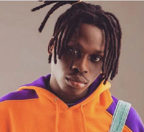 Fireboy DML Biography Net Worth Age Wiki Real Name Record Label Facts