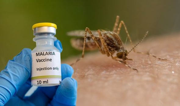 Malaria Vaccine Nigeria