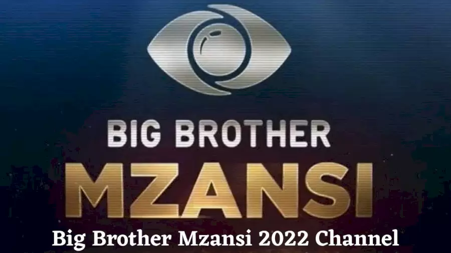BBMzansi 2022 Channel Big Brother Mzansi Channels On DSTV Live Stream GOtv