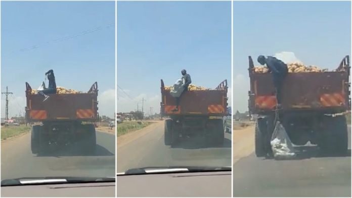 Man caught on cam stealing pineapples from a moving truck