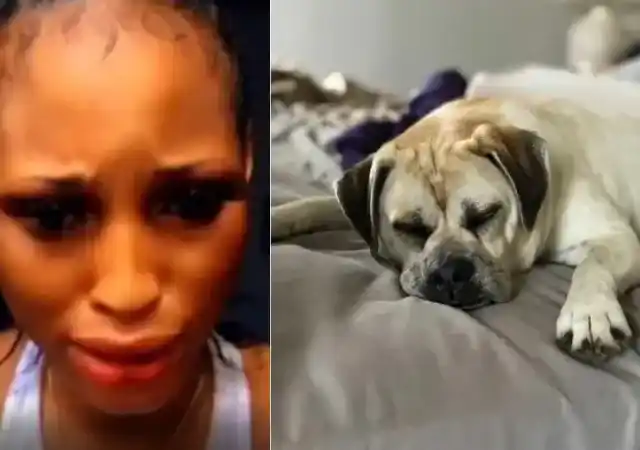 Mirabel, Nigerian Lady Who Slept With Dog For 1.5 Million In Viral Video Is Dead