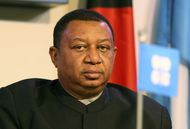 Mohammed Barkindo Biography: Net Worth, Wiki, Age, Wife, Family, OPEC, Death