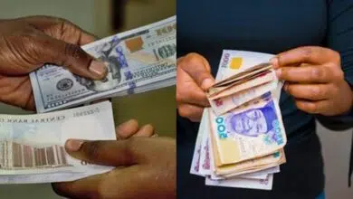Dollar Naira Marketer Reviews