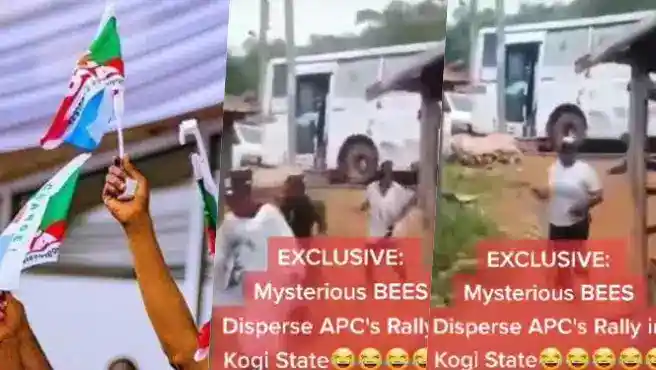 Kogi APC Rally Bees