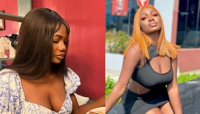 Vendor Calls Out Papaya Ex For Not Promoting Her Business Weeks After Receiving Payment (Photos)