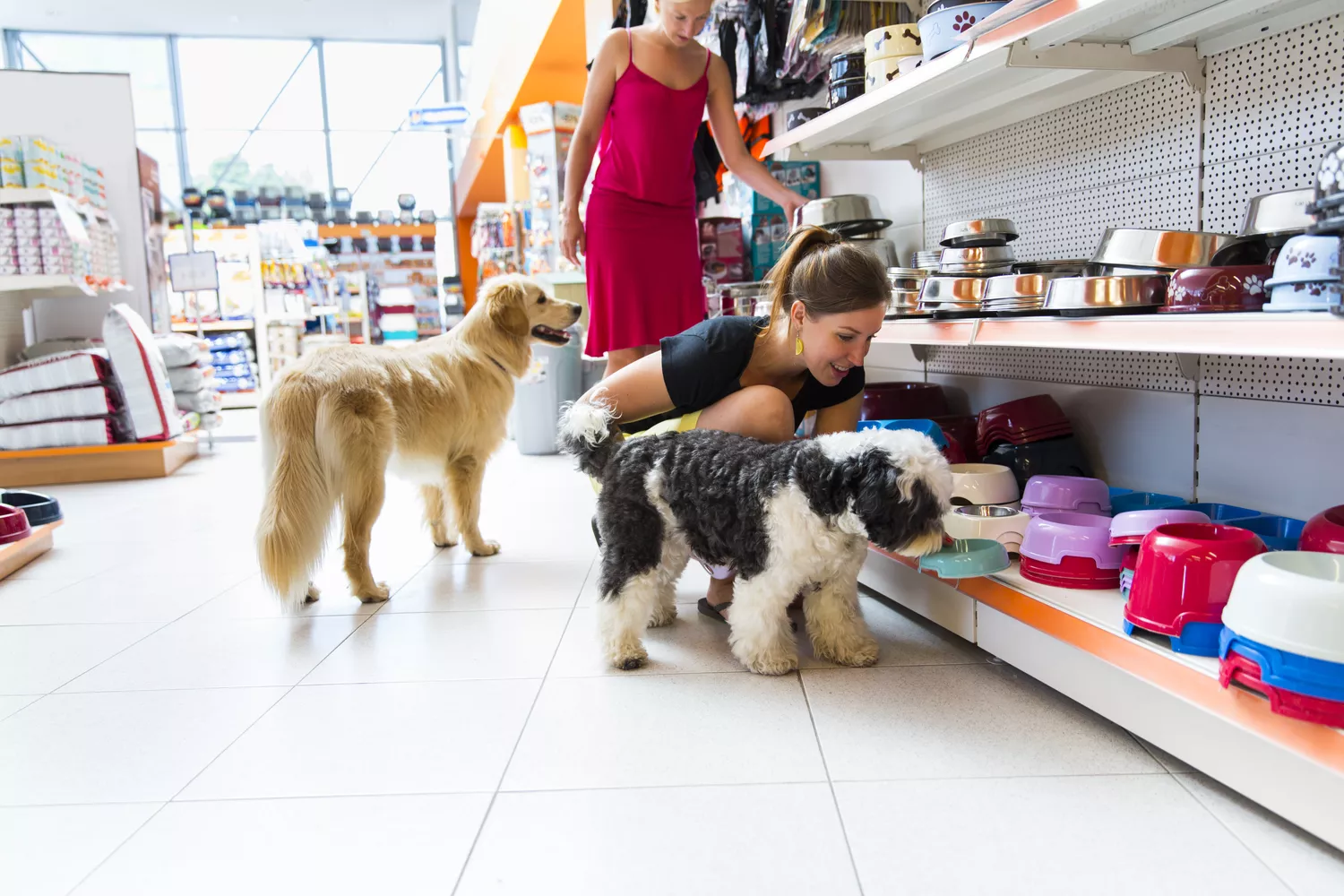 Pet Store Salesperson Job In Canada