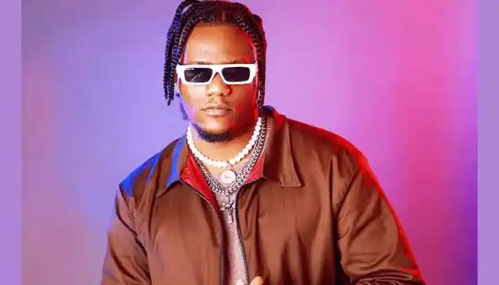 Pheelz Producer