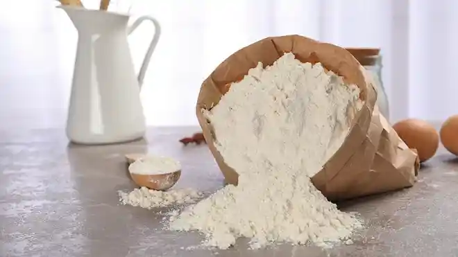 How To Store Flour To Prevent Bugs