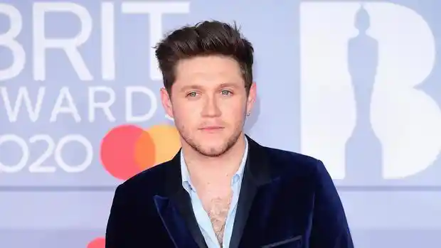 Niall Horan Biography, Age, Parents, Wife, Children, Net worth