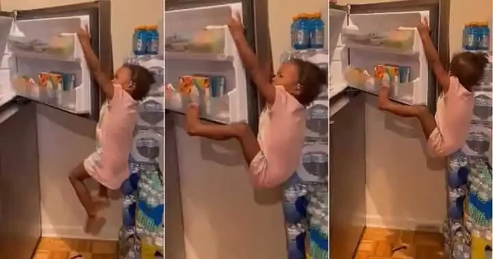 little girl climbed fridge to steal