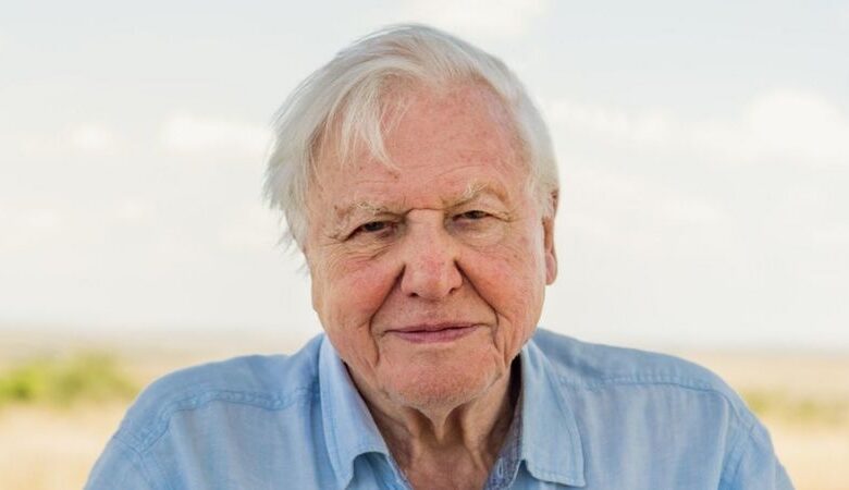 David Attenborough Bio, Net Worth, Age, Parents, Wife, Children