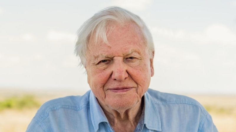 David Attenborough Bio, Net Worth, Age, Parents, Wife, Children