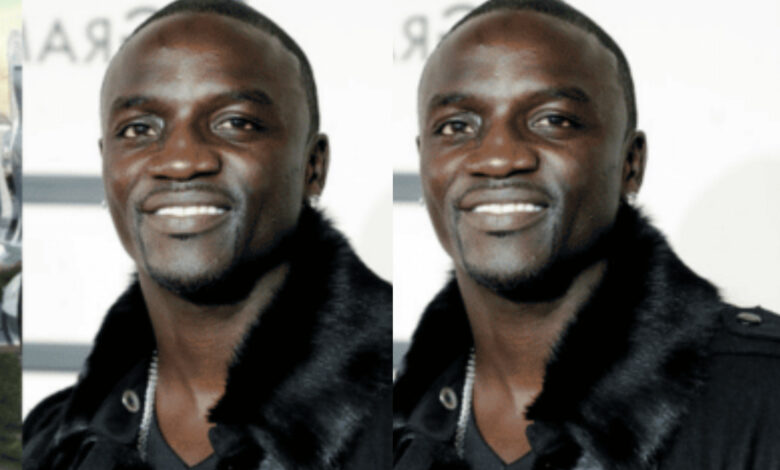 Akon Wealth