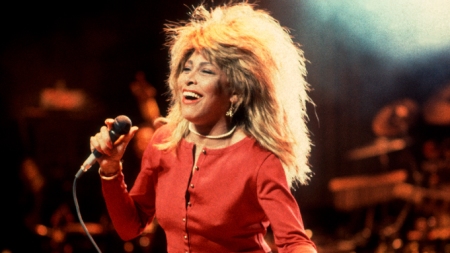 Tina Turner’s Children: How many Babies Did Tina Turner Have?