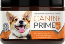 Canine Prime Reviews: Benefits and Side Effects