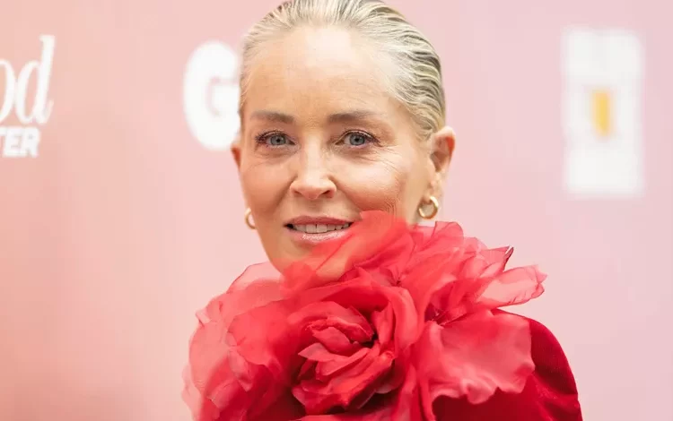 How Much Money Sharon Stone Worth? Biography, Age, Wife, Net Worth