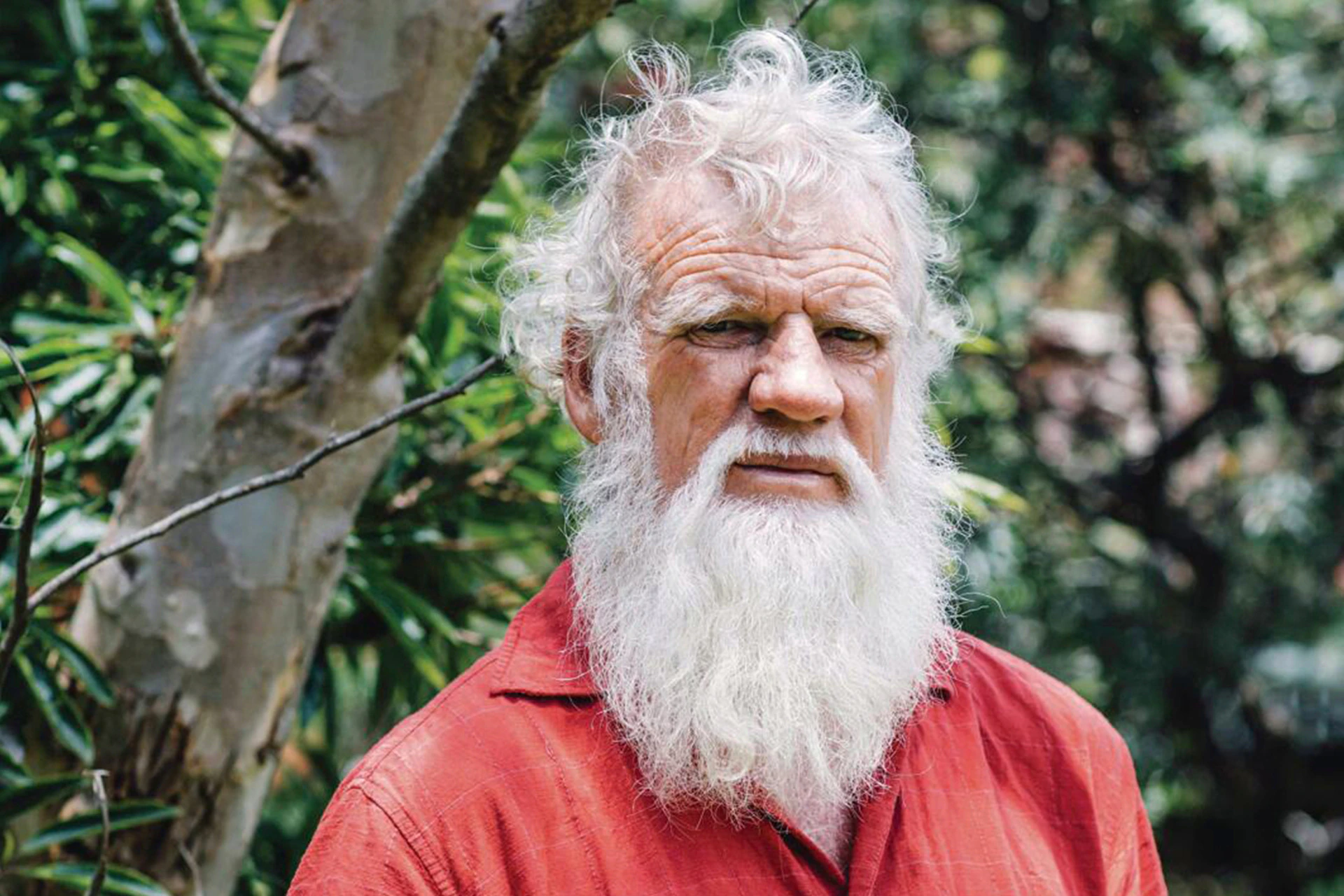 Bruce Pascoe Biography, Age, Height, Parents, Wife, Net Worth