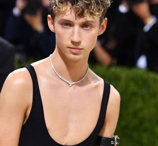 Troye Sivan Biography: Age, Height, Parents, Movies, Wife, Net Worth