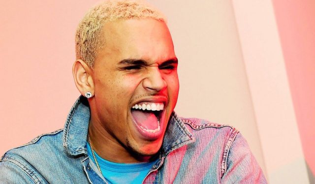 How Much is Chris Brown Net Worth