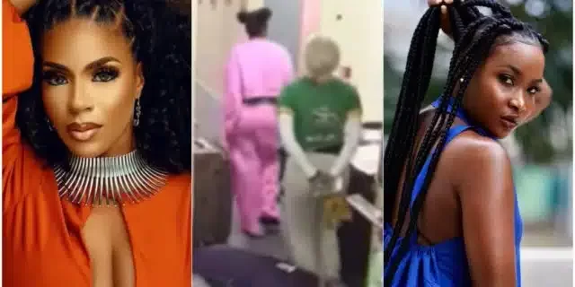 BBNaija: “It’s Like They Sent You from The Village” – Ilebaye Tackles Venita As They Clash Over Task (Video)