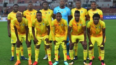 Zimbabwe players