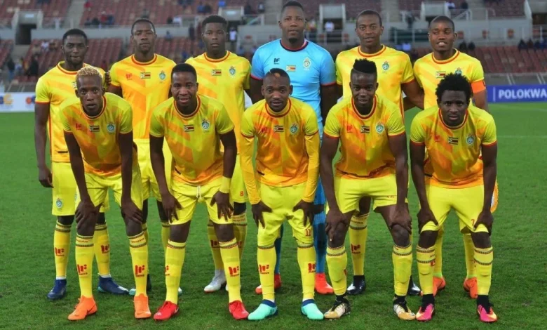 Zimbabwe players