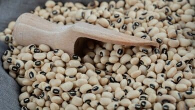 How to Store Cooked Beans in Nigeria