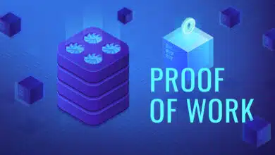 block reward in Proof of Work blockchains