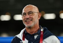 Spain coach, De la Fuente