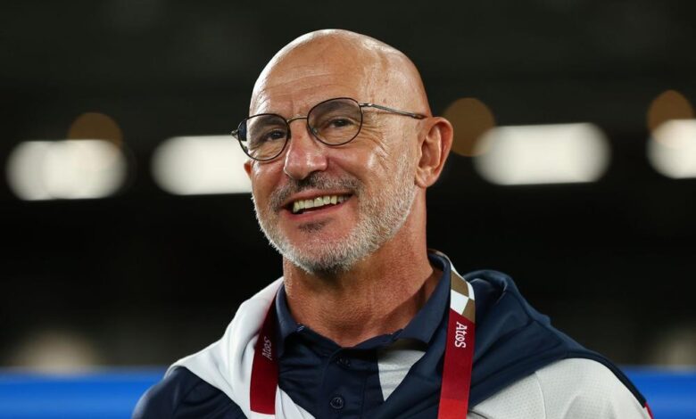 Spain coach, De la Fuente