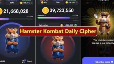 Hamster Kombat Daily Combo Code