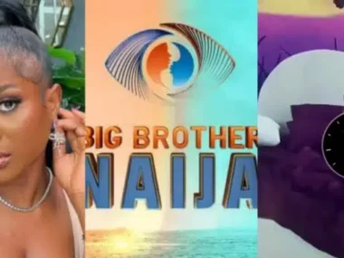 BBNaija housemate, Wanni